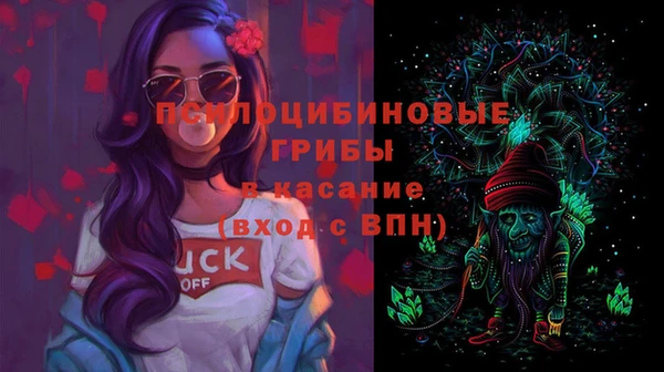 дурь Алзамай