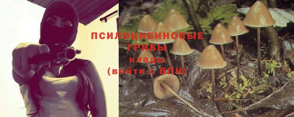 кристаллы Абаза