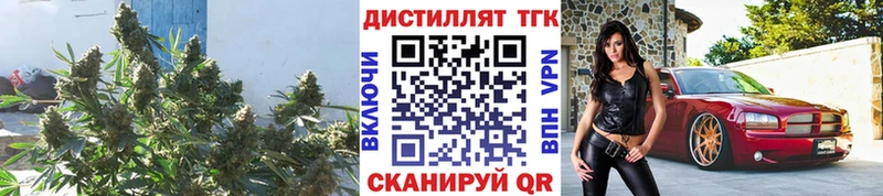 ТГК вейп с тгк  мега ссылка  Батайск 